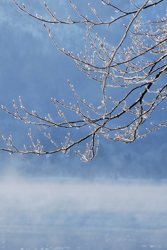 Обои вода, река, ветка, снег, обои, зима, lakes, water, river, branch, snow, wallpaper, winter разрешение 1920x1080 Загрузить