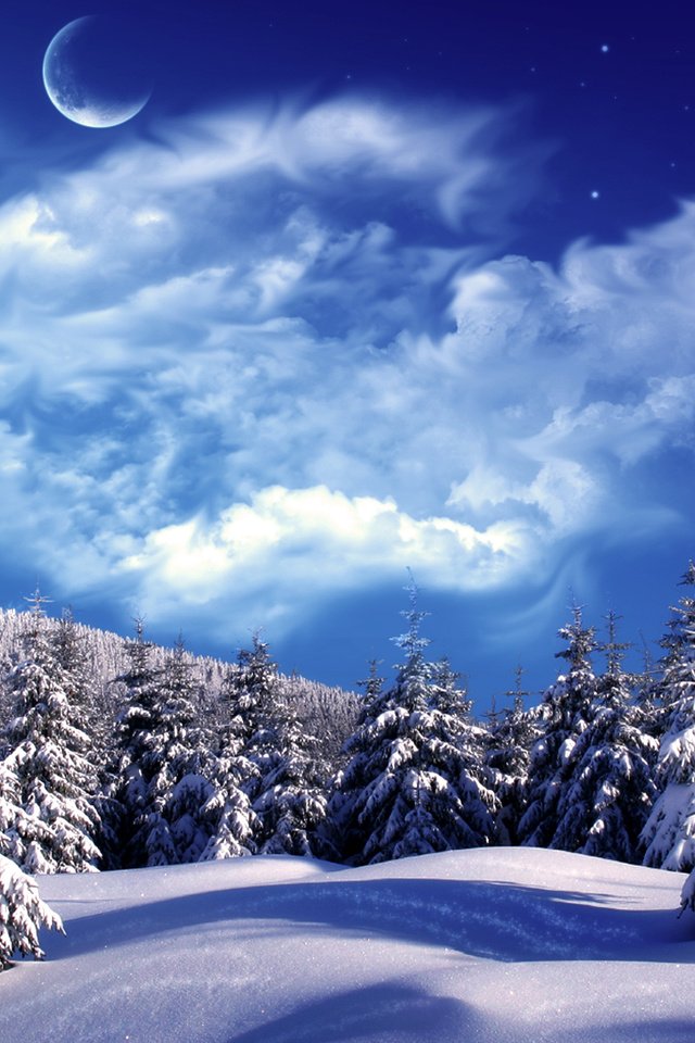 Обои облака, снег, зима, елки, clouds, snow, winter, tree разрешение 1920x1200 Загрузить