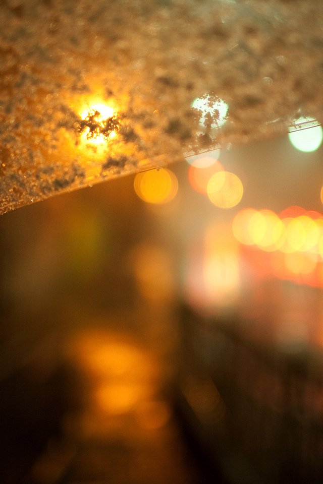 Обои улица, дождь, зонт, street, rain, umbrella разрешение 1920x1200 Загрузить