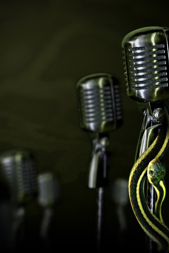 Обои микрофон, змея, microphone, snake разрешение 1920x1200 Загрузить