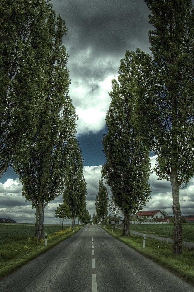 Обои дорога, деревья, дом, road, trees, house разрешение 1920x1200 Загрузить