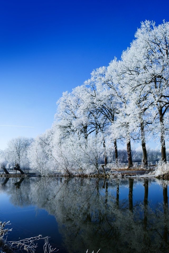 Обои небо, иней, деревья, река, снег, природа, зима, отражение, люди, the sky, frost, trees, river, snow, nature, winter, reflection, people разрешение 2560x1600 Загрузить