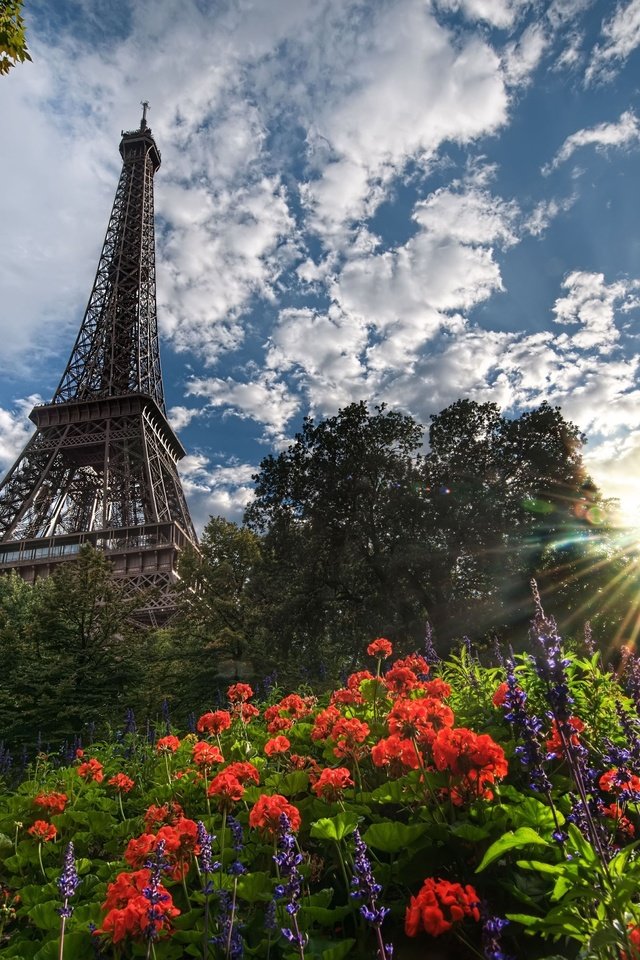 Обои цветы, деревья, солнце, париж, эйфелева башня, flowers, trees, the sun, paris, eiffel tower разрешение 4928x3352 Загрузить