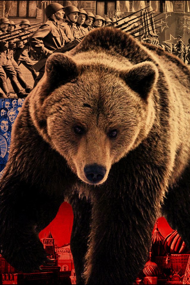 Обои медведь, россия, флаг, политика, bear, russia, flag, policy разрешение 1920x1280 Загрузить