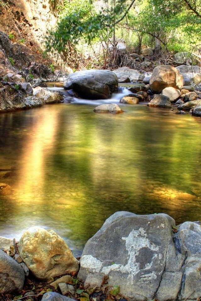 Обои камни, лес, ручей, stones, forest, stream разрешение 1920x1080 Загрузить