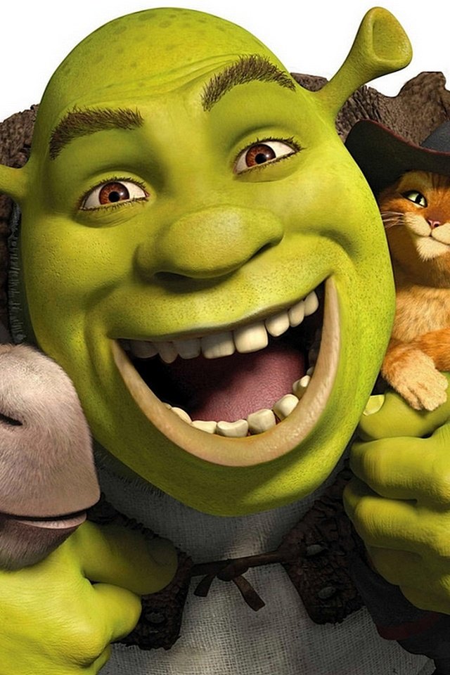 Обои кот, осел, шрек, cat, donkey, shrek разрешение 1920x1080 Загрузить