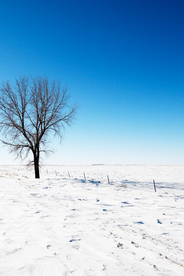 Обои небо, дорога, снег, дерево, зима, the sky, road, snow, tree, winter разрешение 2560x1600 Загрузить