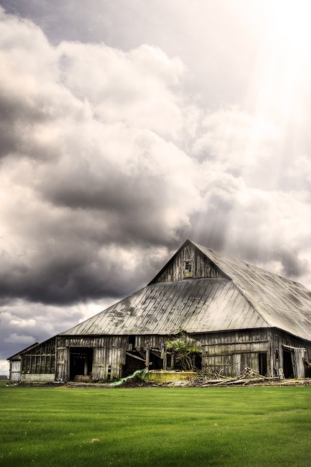 Обои трава, облака, птица, сарай, grass, clouds, bird, the barn разрешение 1920x1200 Загрузить