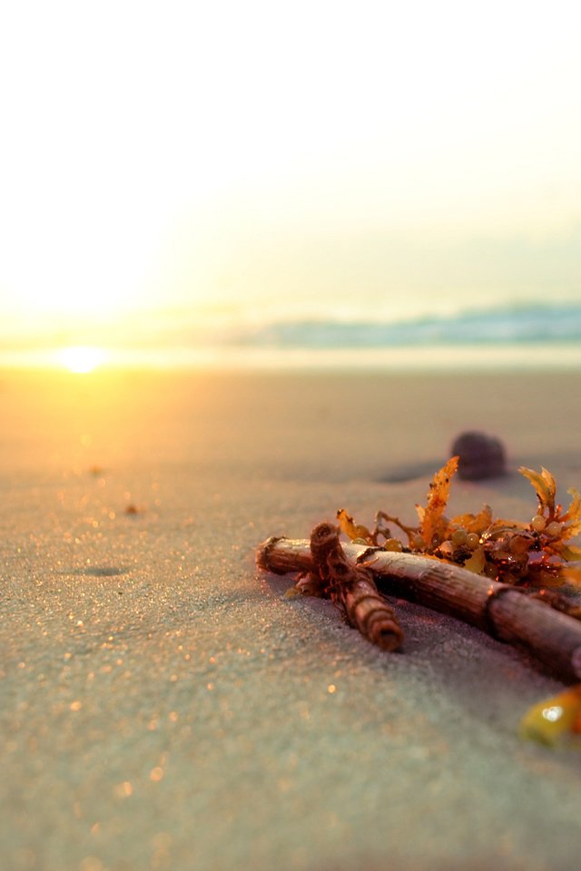Обои песок, пляж, палка, sand, beach, stick разрешение 2560x1600 Загрузить