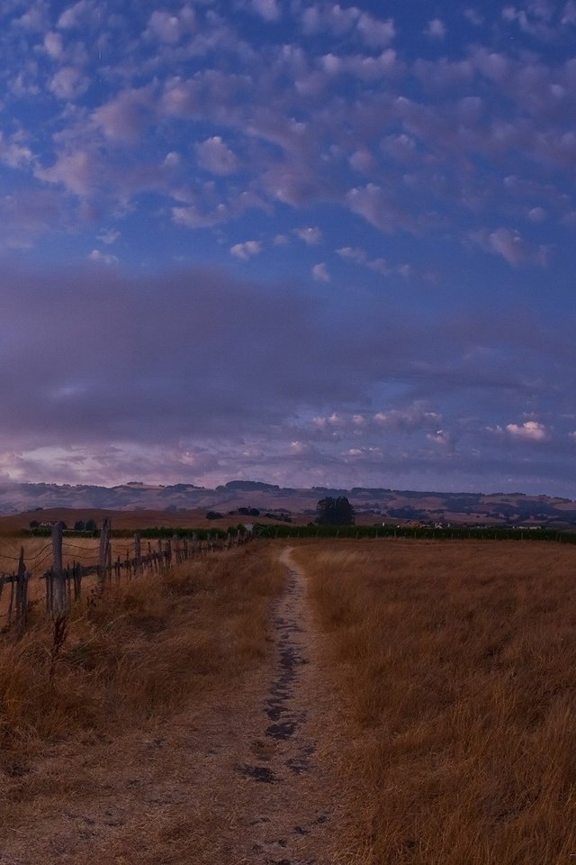 Обои небо, вечер, поле, the sky, the evening, field разрешение 3200x1200 Загрузить