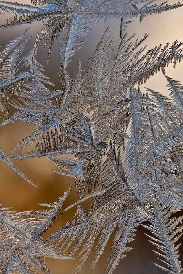 Обои зима, стекло, наледь, winter, glass, frost разрешение 1920x1200 Загрузить