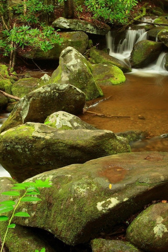 Обои камни, листья, ручей, водопад, stones, leaves, stream, waterfall разрешение 1920x1200 Загрузить