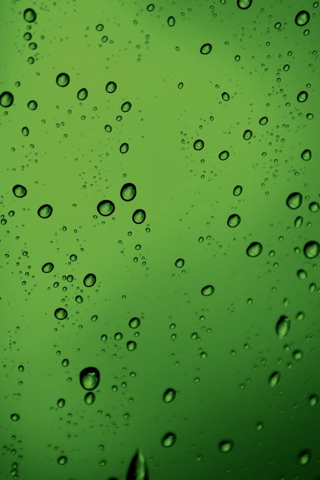 Обои обои, текстура, зелёный, макро, капли, пузыри, бульки, green texture, water drops style, wallpaper, texture, green, macro, drops, bubbles, bulka разрешение 2560x1600 Загрузить