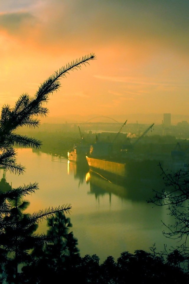 Обои деревья, утро, порт, trees, morning, port разрешение 1920x1440 Загрузить