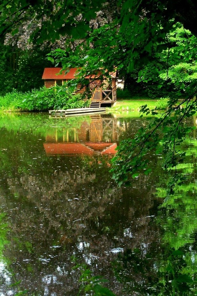 Обои деревья, озеро, dock, trees, lake разрешение 1920x1200 Загрузить