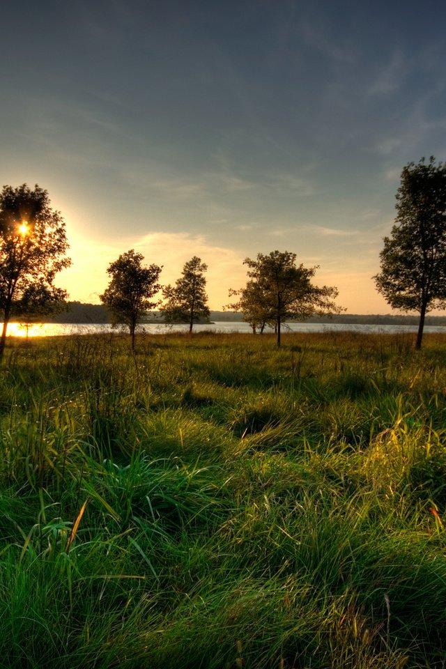 Обои трава, река, солнце, дерево, закат, grass, river, the sun, tree, sunset разрешение 1920x1200 Загрузить