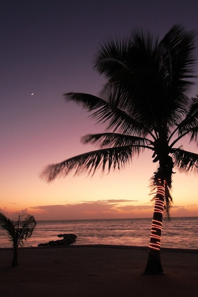 Обои вечер, берег, новый год, море, пальмы, тропики, the evening, shore, new year, sea, palm trees, tropics разрешение 1920x1200 Загрузить