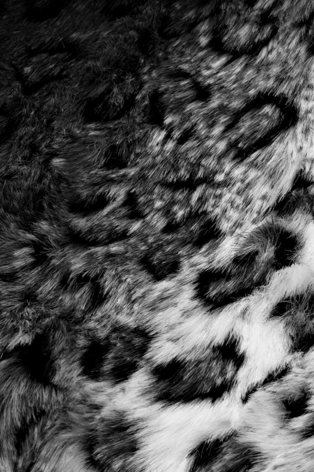 Обои чёрно-белое, шкура, мех, леопарда, black and white, skin, fur, leopard разрешение 1920x1080 Загрузить