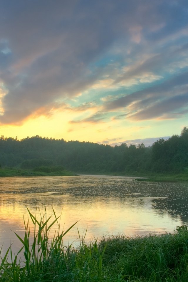 Обои трава, озеро, лес, отражение, grass, lake, forest, reflection разрешение 1920x1080 Загрузить