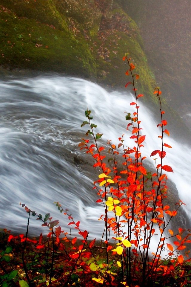 Обои река, листья, водопад, осень, river, leaves, waterfall, autumn разрешение 1920x1440 Загрузить