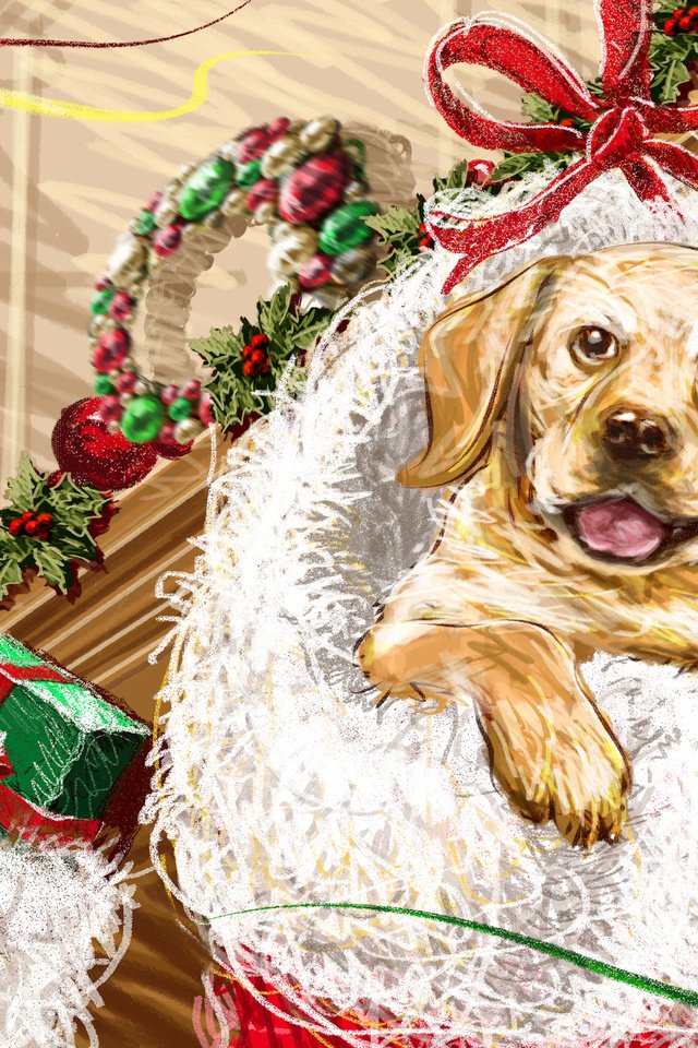 Обои новый год, подарки, щенок, new year, gifts, puppy разрешение 2560x1670 Загрузить