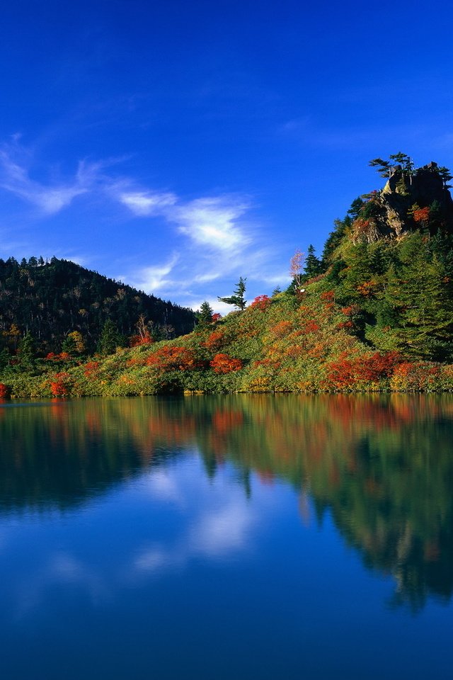 Обои вода, озеро, лес, отражение, япония, water, lake, forest, reflection, japan разрешение 1920x1200 Загрузить