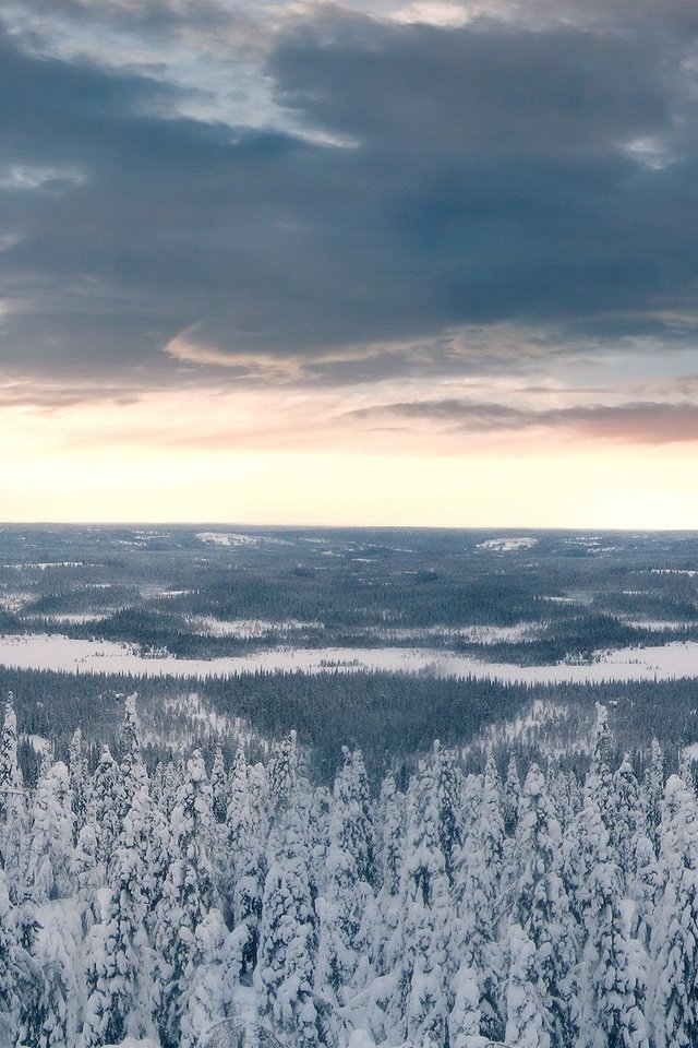 Обои облака, деревья, снег, лес, зима, clouds, trees, snow, forest, winter разрешение 1920x1200 Загрузить