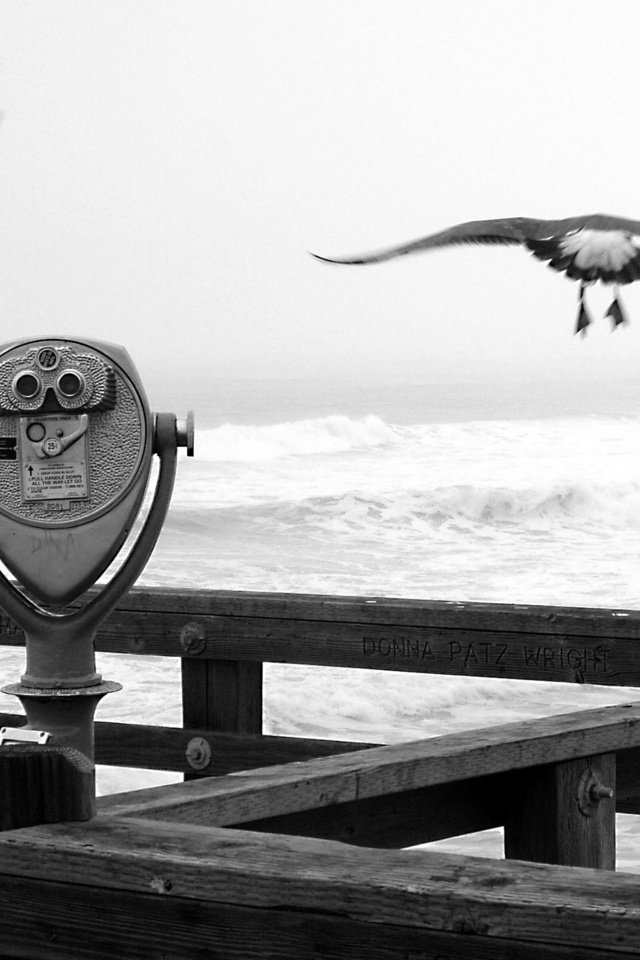 Обои причал, черно-белая, чайки, бинокль, pier, black and white, seagulls, binoculars разрешение 2560x1600 Загрузить