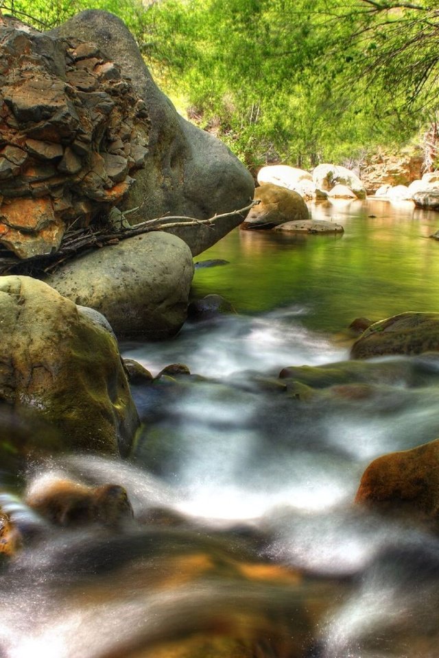 Обои камни, лес, ручей, stones, forest, stream разрешение 1920x1200 Загрузить