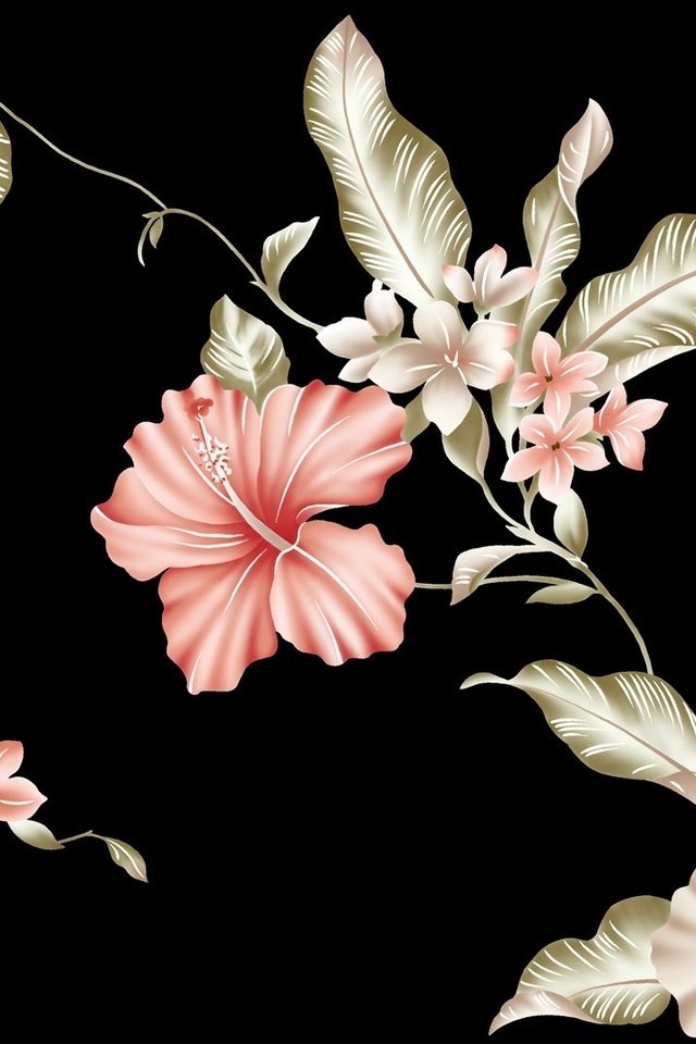 Обои цветы, рисунок, бутоны, текстура, лепестки, черный фон, розовые цветы, flowers, figure, buds, texture, petals, black background, pink flowers разрешение 1920x1080 Загрузить