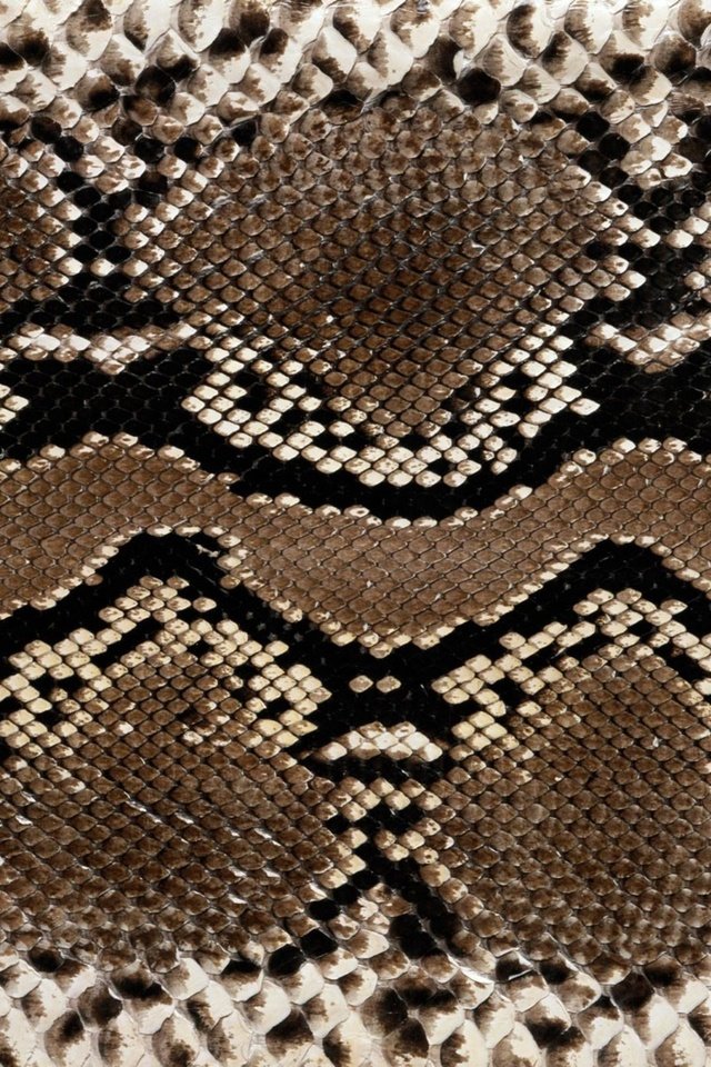 Обои кожа, змеи, расцветка, етекстура, змеиная кожа, leather, snakes, colors, texture, snakeskin разрешение 2560x1600 Загрузить