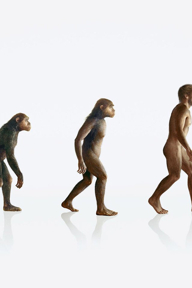 Обои человек, обезьяна, эволюция, people, monkey, evolution разрешение 1920x1200 Загрузить