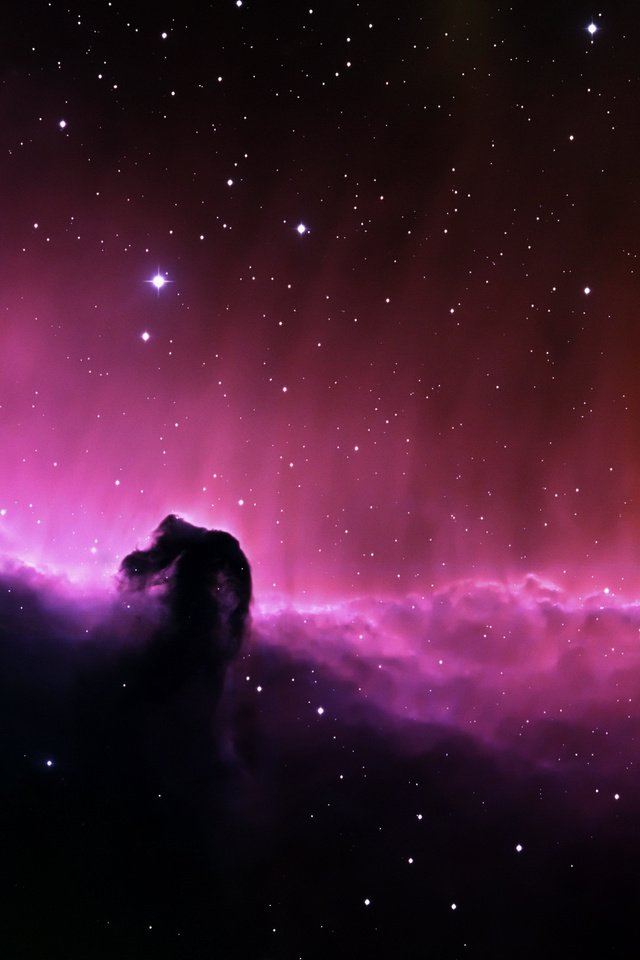 Обои звезды, туманность, конская голова, stars, nebula, horse head разрешение 2560x1600 Загрузить