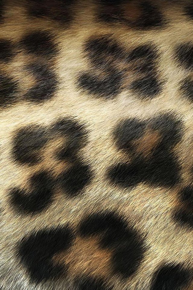 Обои шерсть, леопард, пятна, мех, wool, leopard, spot, fur разрешение 1920x1200 Загрузить