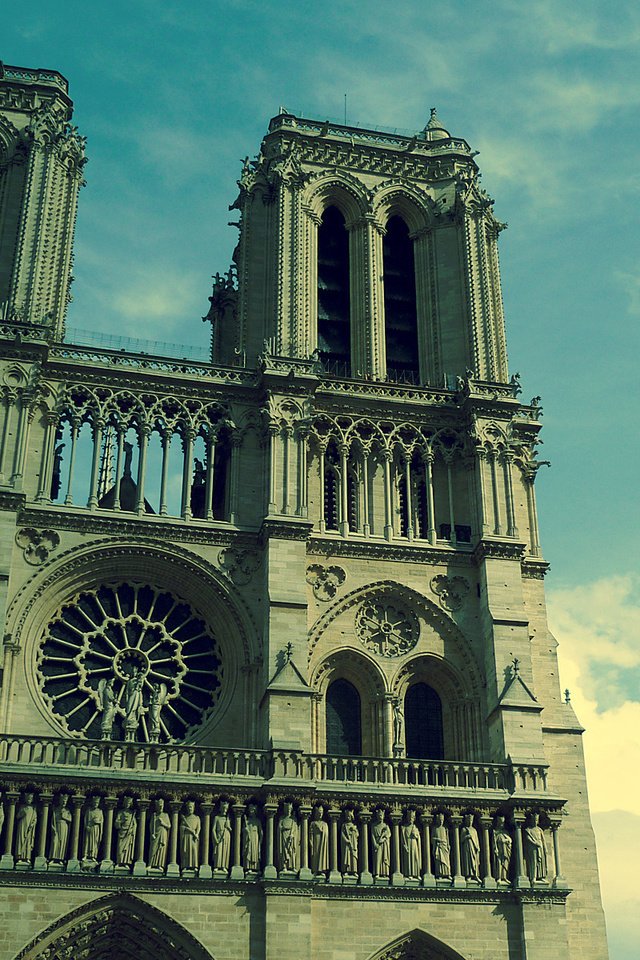 Обои париж, собор парижской богоматери, нотр-дам де пари, paris, notre dame cathedral, notre dame de paris разрешение 1920x1200 Загрузить