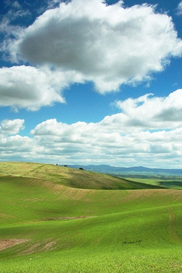 Обои небо, облака, холмы, поле, the sky, clouds, hills, field разрешение 1920x1200 Загрузить