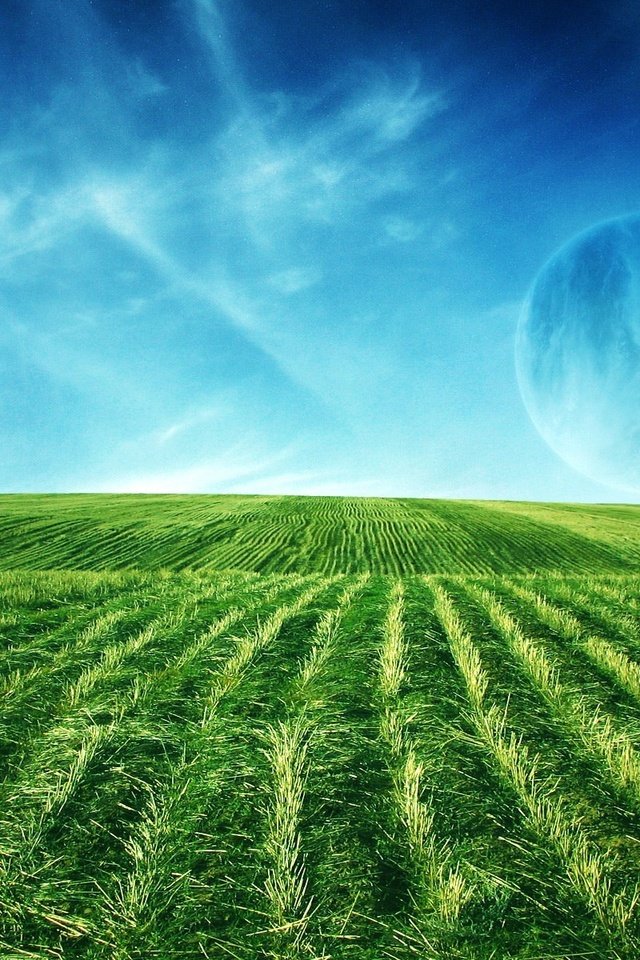 Обои зелень, поле, луны, greens, field, the moon разрешение 1920x1200 Загрузить