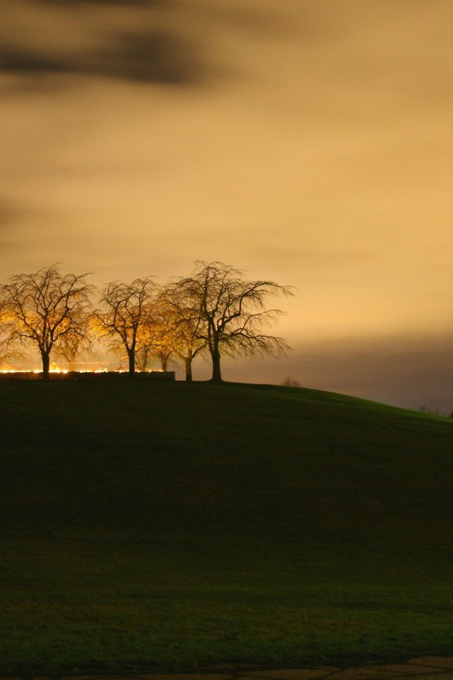 Обои ночь, деревья, крест, night, trees, cross разрешение 3888x2592 Загрузить