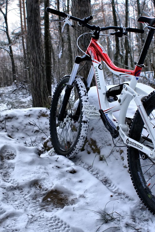 Обои снег, лес, зима, цвет, велосипед, рама, snow, forest, winter, color, bike, frame разрешение 1920x1200 Загрузить