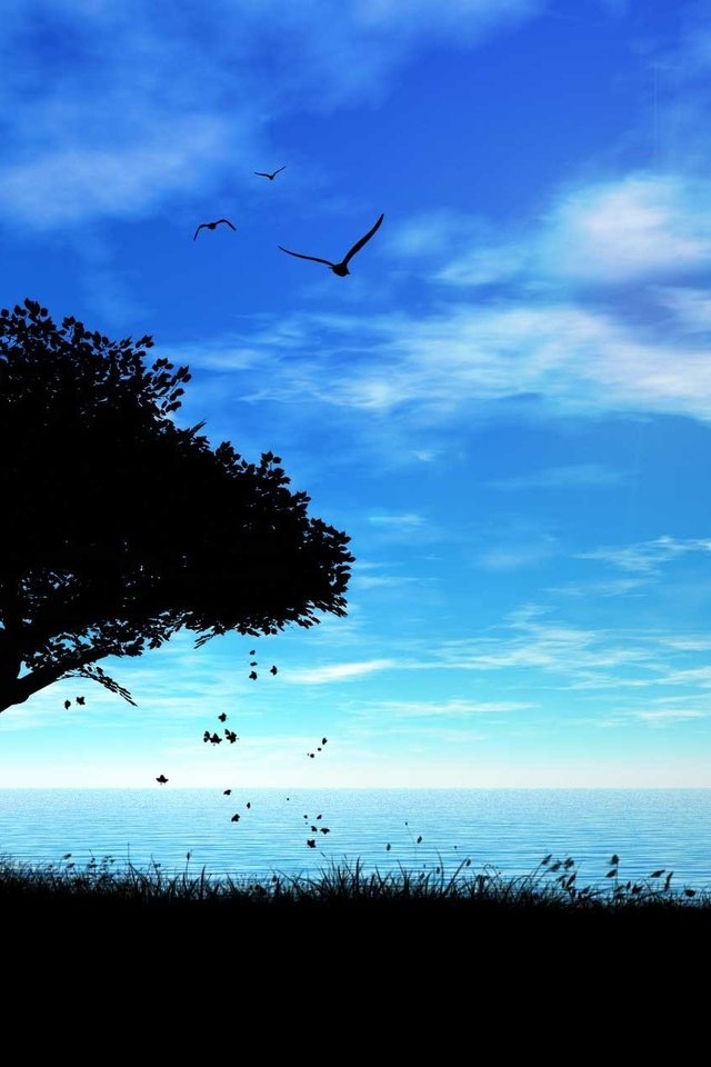 Обои небо, дерево, море, тень, птички, the sky, tree, sea, shadow, birds разрешение 1920x1280 Загрузить