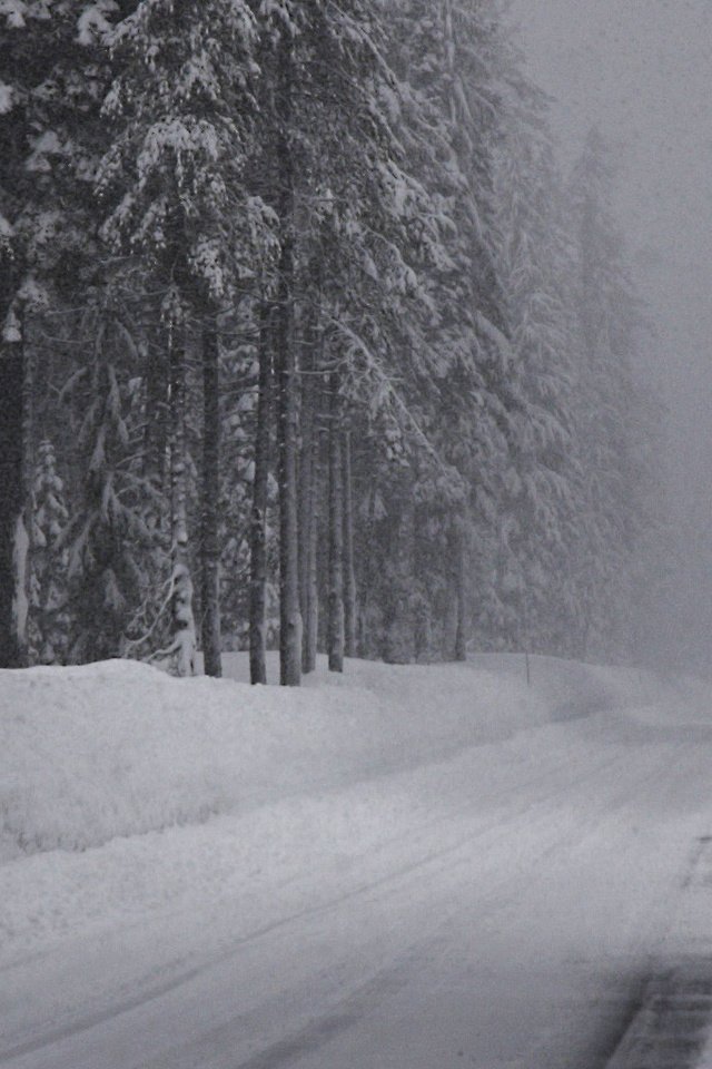 Обои дорога, снег, зима, ельник, road, snow, winter, spruce forest разрешение 2560x1024 Загрузить