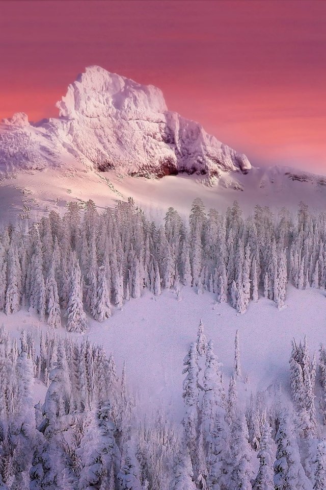 Обои деревья, снег, зима, гора, trees, snow, winter, mountain разрешение 2000x1333 Загрузить