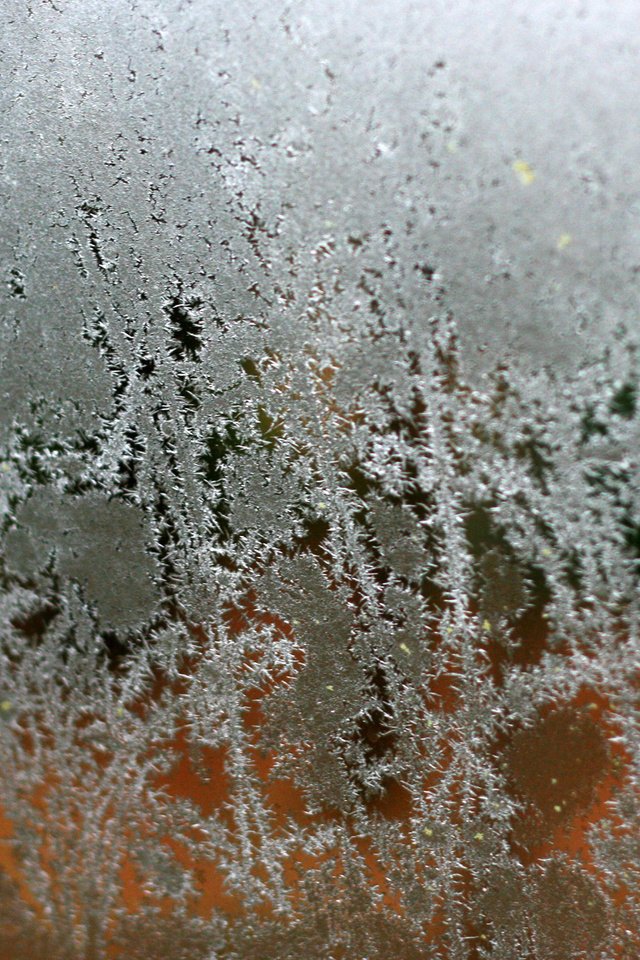 Обои мороз, лёд, узоры, стекло, frost, ice, patterns, glass разрешение 1920x1200 Загрузить