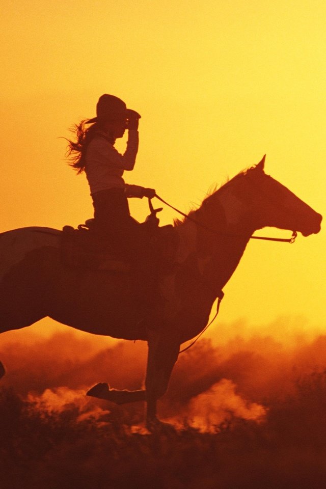 Обои лошадь, закат, девушка, голоп, horse, sunset, girl, the golop разрешение 2560x1600 Загрузить