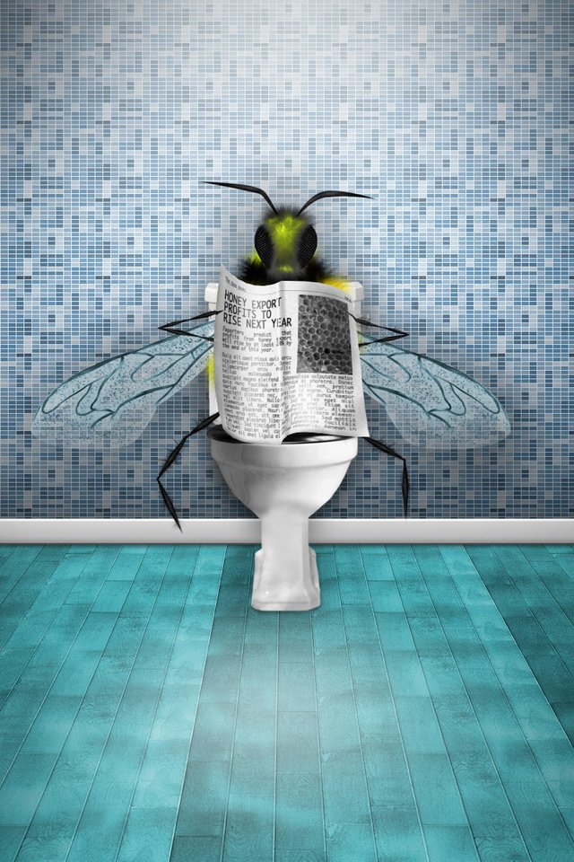 Обои газета, пчела, новости, туалет, newspaper, bee, news, toilet разрешение 1920x1200 Загрузить