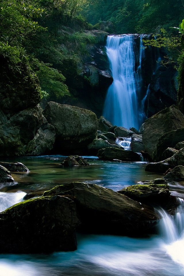 Обои камни, лес, водопад, тропики, stones, forest, waterfall, tropics разрешение 1920x1080 Загрузить