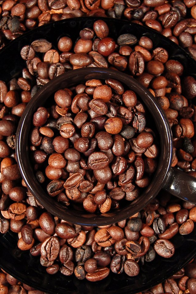 Обои зерна, кофе, кофейные зерна, grain, coffee, coffee beans разрешение 1920x1200 Загрузить