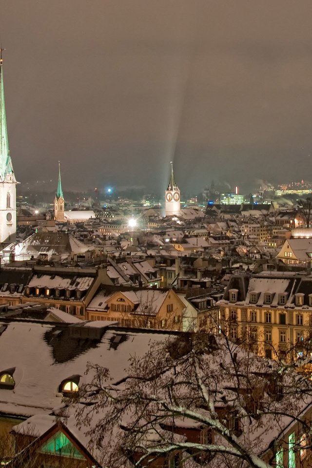 Обои снег, зима, город, швейцария, крыша, цюрих, snow, winter, the city, switzerland, roof, zurich разрешение 2560x1600 Загрузить