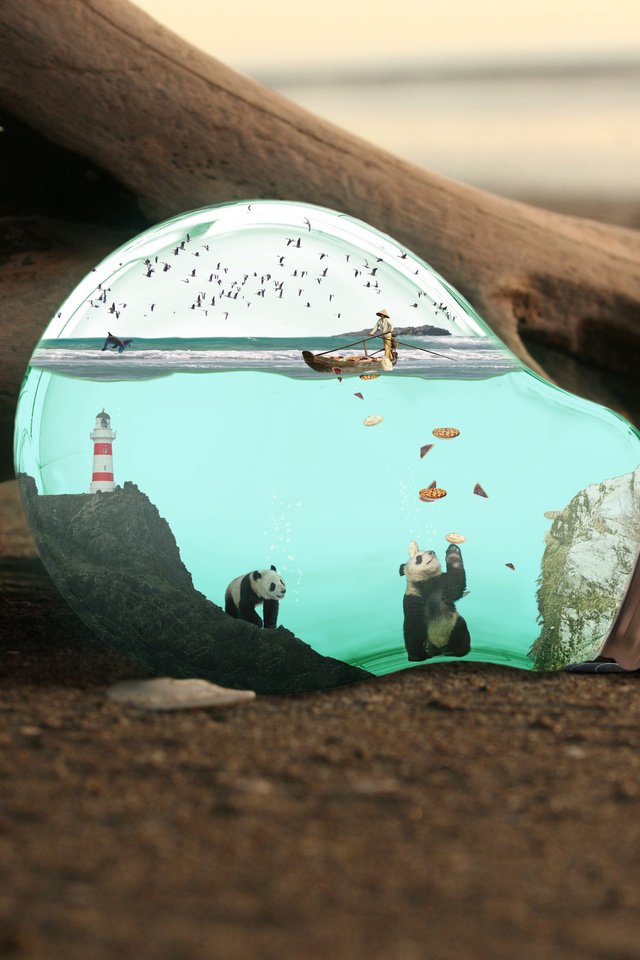 Обои море, песок, лампочка, панды, sea, sand, light bulb, panda разрешение 2560x1600 Загрузить