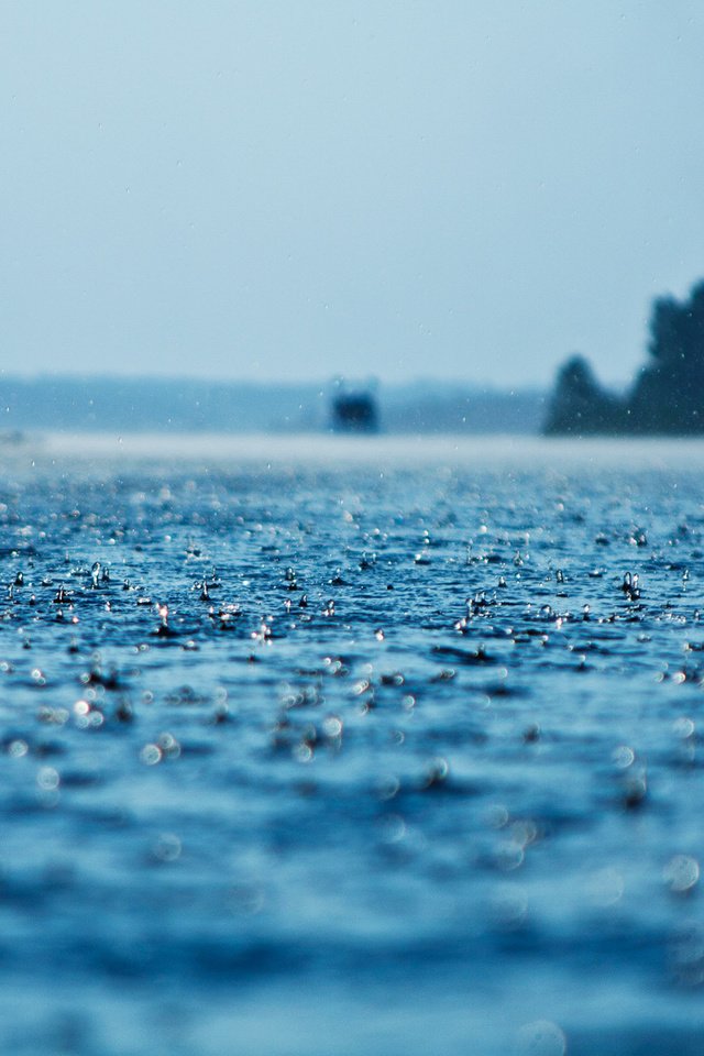 Обои вода, капли, дождь, поверхность, осадки, water, drops, rain, surface разрешение 1920x1200 Загрузить